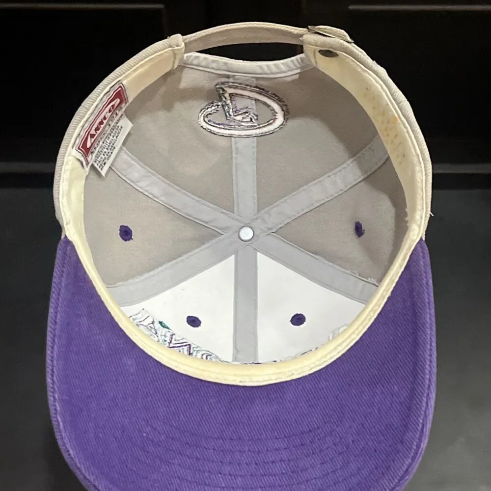 Vintage 90s ANNCO Arizona Diamondbacks Grey Purple Mens Snapback Hat